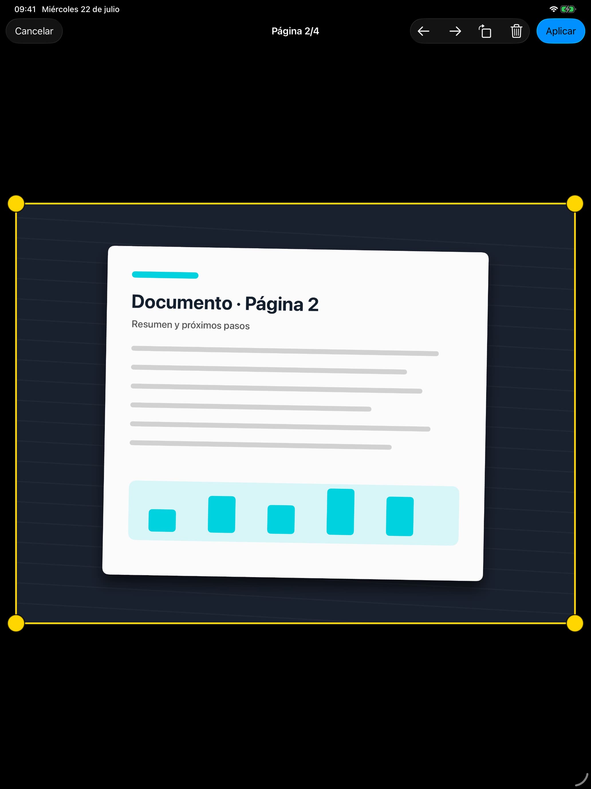 RapidScan document capture and page editing screen on iPad